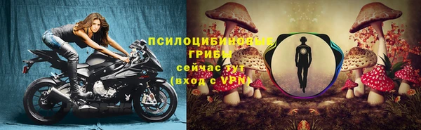 спиды Пересвет