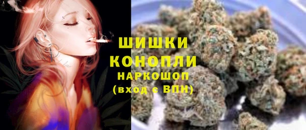 спиды Пересвет